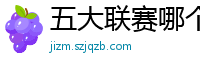 五大联赛哪个含金量高